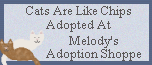 Melody