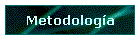 Metodologa