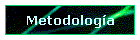 Metodologa