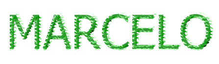 Marcelo