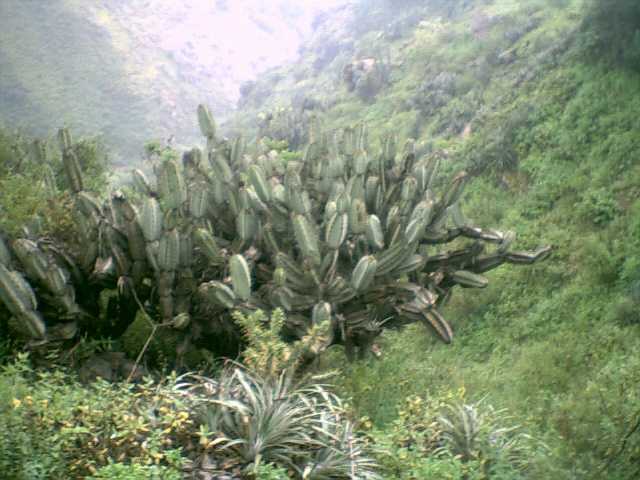MAS FOTOS