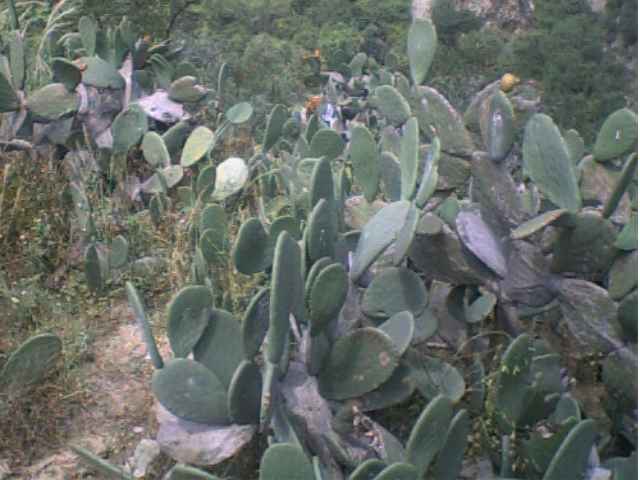 MAS FOTOS