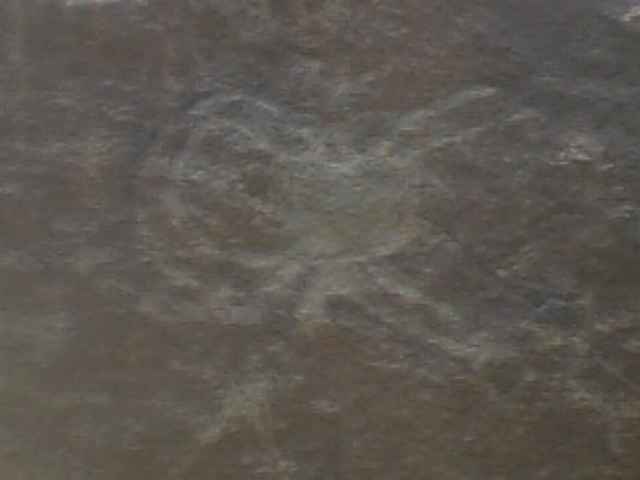 M�s fotos