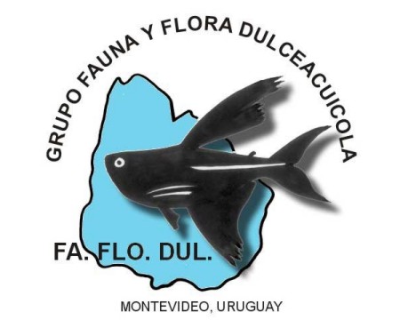 Grupo Faflodul web site