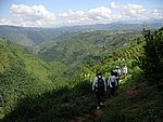 PICT0012.JPG