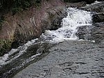 PICT0036.JPG