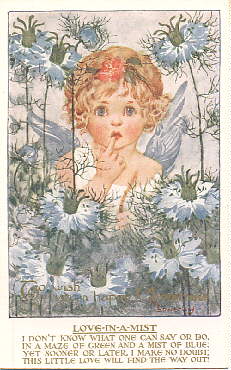 thumbnail of blufae