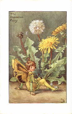 thumbnail of dandefae