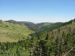 IMG_1841 copy