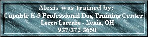 Capable K-9