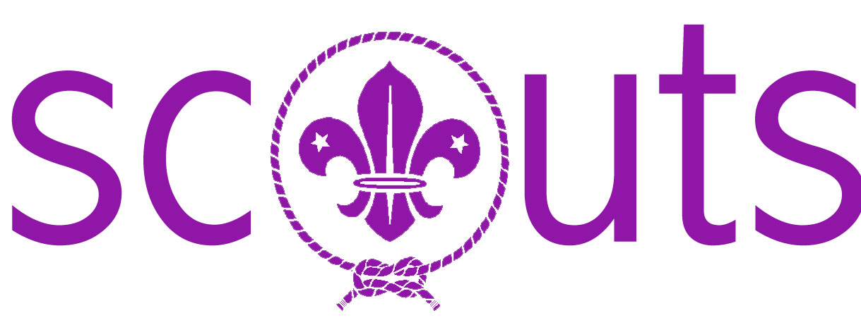 scouts.JPG (75791 bytes)