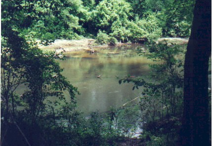 bcpark.jpg (54039 bytes)