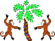monkey