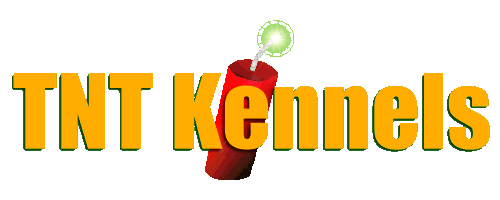 TNT Kennels