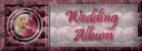 Our Wedding Album