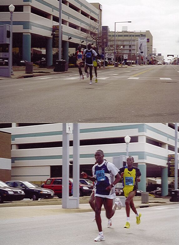 mulinga1.jpg