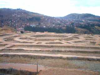 MUYOC MARKA