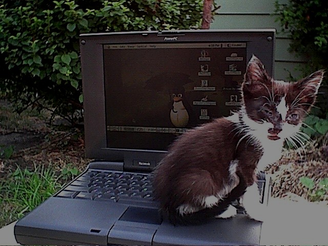Steve Jobs makes a great bum warmer doesn't he?