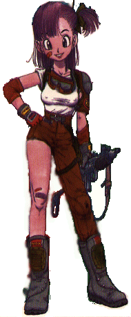 bulma1.gif
