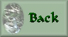 Back to Guest's Poetry!