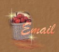 Send Me an Email!