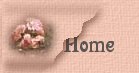 Back to my home page