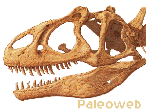 Paleoweb, la prehistoria al alcance de tu mano.
