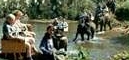ChiangMai Tour 5 : Chiang Mai Elephant Tour habit in the stream