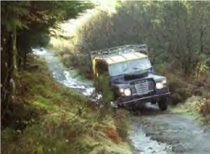 1982 SIII