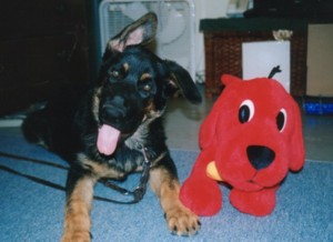Wittaker with Clifford the Big Red Dog