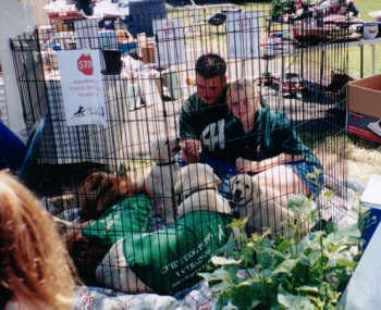 Alvin & Nicole in the x-pen with puppies