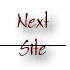 Next Site