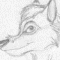 None by Silverwolf_85
