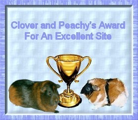 Wooooo my award from Jackie!
