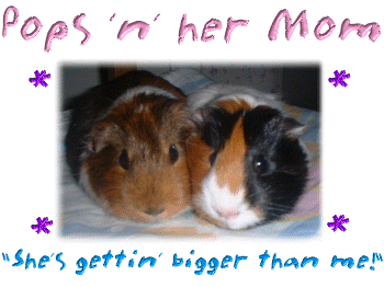 Poppet is so BIG!