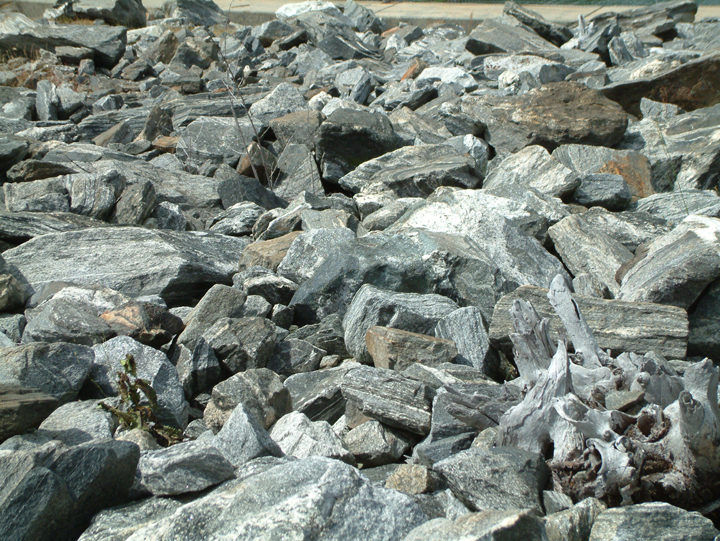 Rock Field