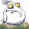QUACK!!