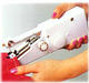 This would fix a ripped rectum!