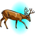 Click here for some Deer hunting information.