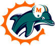 Dolphins, Dolphins and more Dolphins.