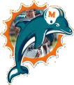 Dave Wannstedt is going to take the Dolphins to the Super Bowl this year!