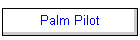 Palm Pilot