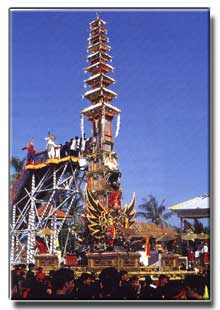 Bali travel guide