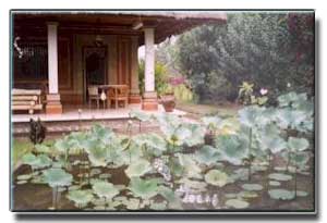 Bali house
