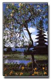 Places to visit in north bali