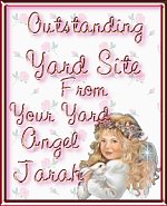 yardangelA.jpg (11520 bytes)