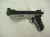 pistol5.jpg (19843 bytes)