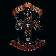 Appetite  for Destruction