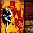 Use Your Illusion I