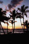 Our View ~ Hawaii 2001